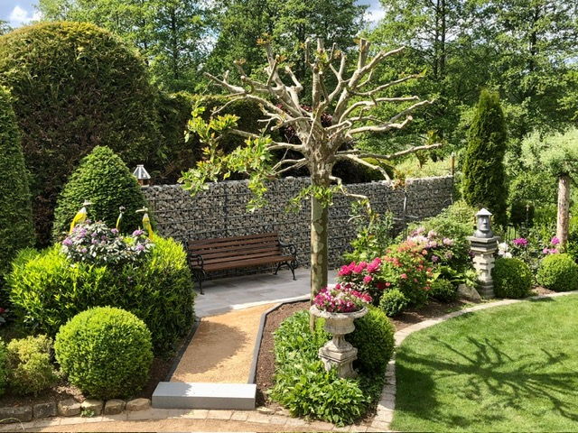 Well kept ornamental garden with box topiary, gabion wall, bench and flowering beds